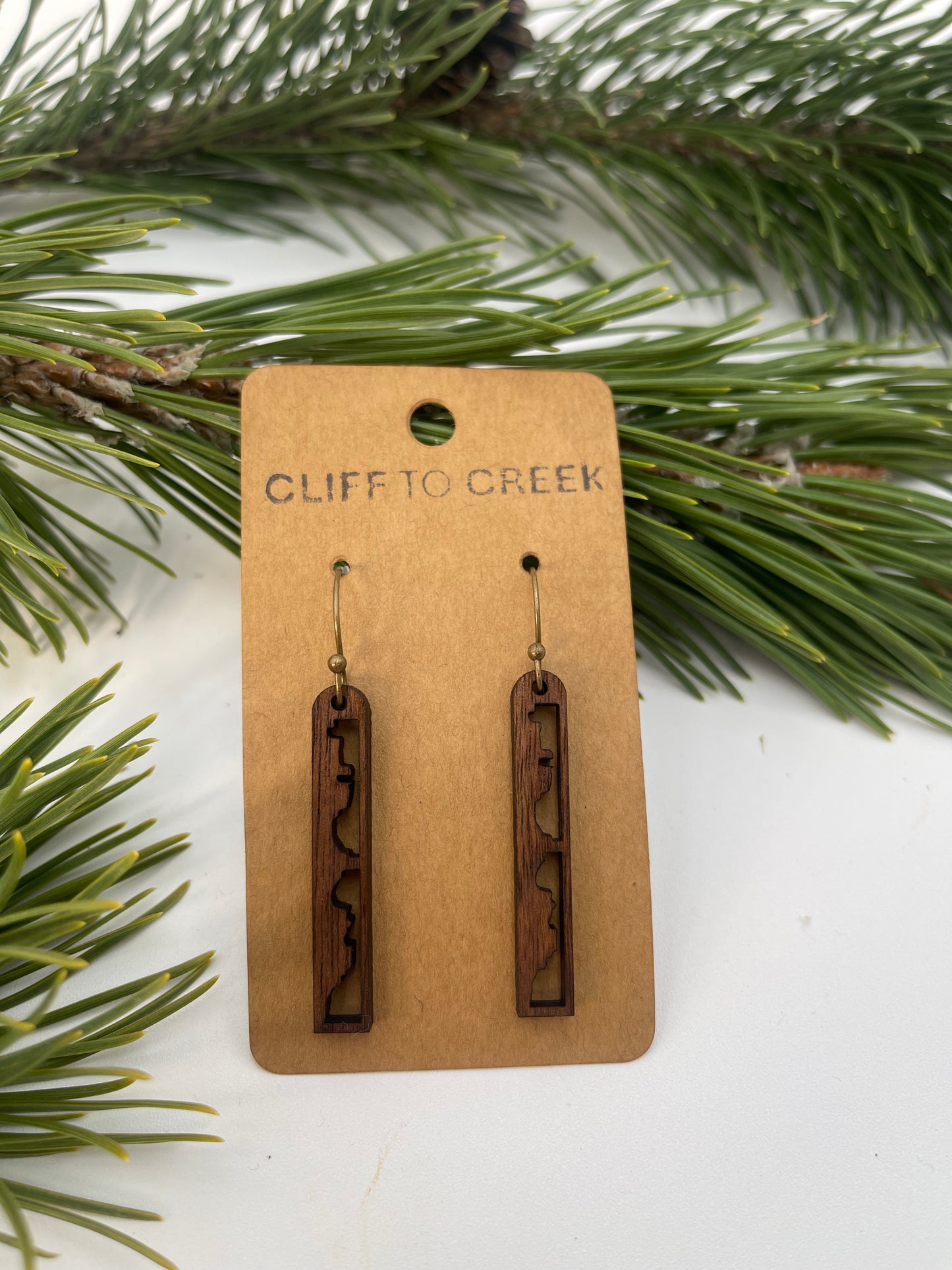 Desert Landscape Earrings